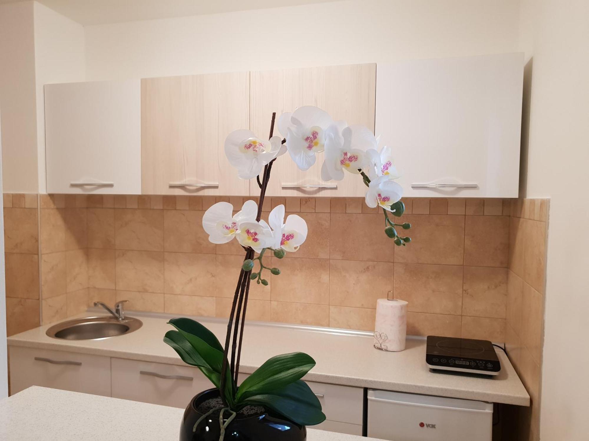 Apartman Kej Free Parking 克拉列沃 外观 照片